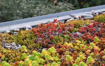 the cost of Harvington green roof installation