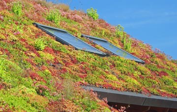 Harvington living roof systems